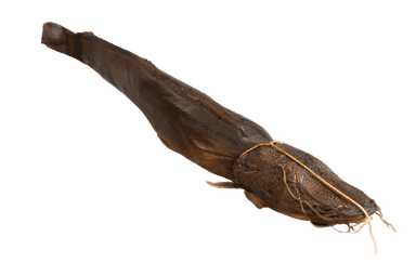 Frozen hot smoked African catfish, gutted, vacuumed, 880 g