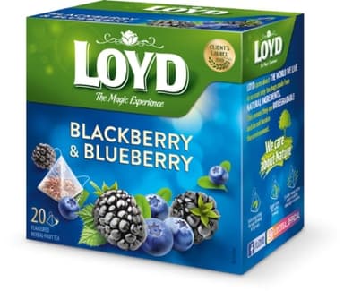 Herbal tea LOYD, blackberry and blueberry flavor, 20 x 2g