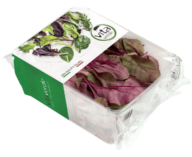 Bull??s blood, 100 g