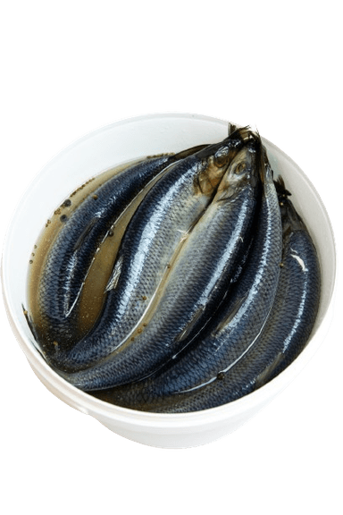 Silpnai sūdyta Atlantinė silkė, su galva, neskrosta, 4kg