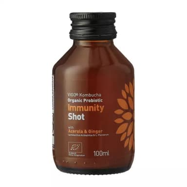 Refreshing tea drink VIGO Kombucha, Immunity shot, eco, 0,1 l, LT-EKO-001