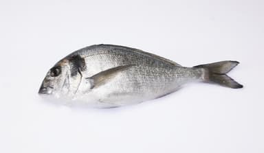 Farmed Seabream 1000-1500