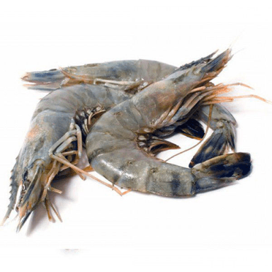Frozen black tiger shrimp, with head, with shell, 16/20, 800g