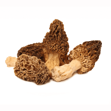 Mushrooms Morel, category I, kg