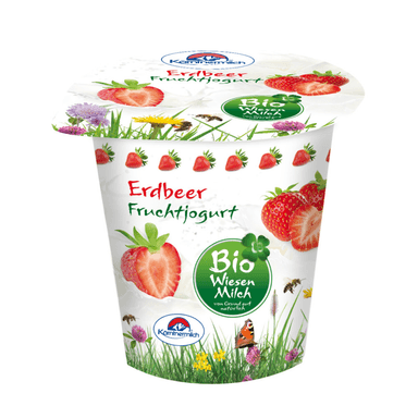 Strawberry Yogurt ERDBEER BIO, organic