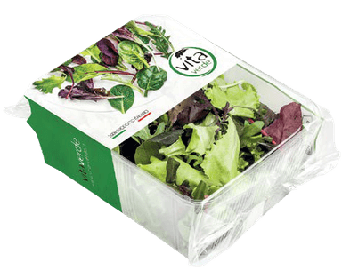 Lettuce mix MISTICANZA, 100 g
