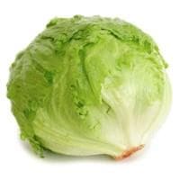 Lettuce ICEBERG, category I, kg