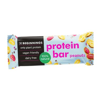 Vegan protein bar THE BEGINNINGS with peanuts, 40 g