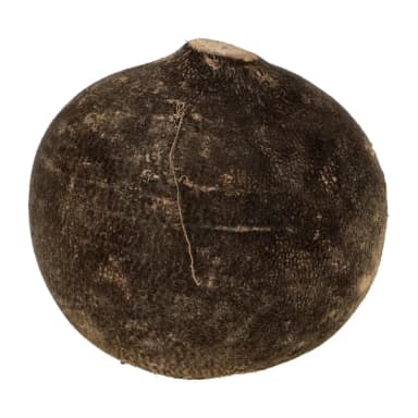 Radishes, black, II class.