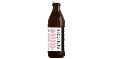 EARLYBIRD kombucha drink, organic