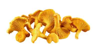 Chanterelle grise, 250 g