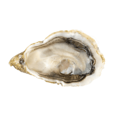 Austrė SPECIALE DE CLAIRE IGP Nr.2