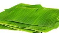 Banana leaves, 500 g