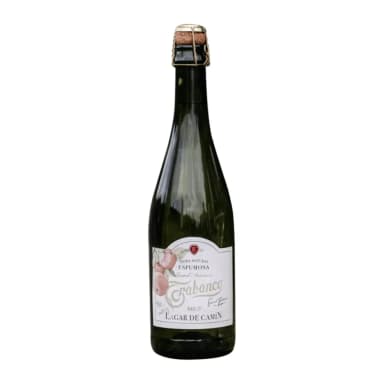 Sidras putojantis GRAND PREMIUM BRUT LAGAR DE CAMIN, 6%