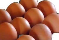Eggs, AM, brown, 10 pcs., GIP
