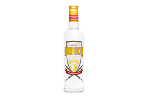 Degtinė DIDIKŲ PREMIUM 40% 0.5l