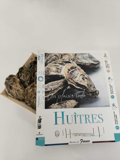 Didžiosios austrės Hollow, Quiberon, Nr 2, 1 dėžutė, 12 vnt