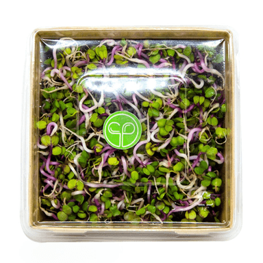 Radish sprouts, pink