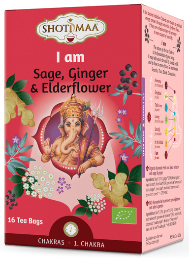 Vaisinė arbata SAGE, GINGER & ELDERFLOWER, ekologiška, 16 pak.