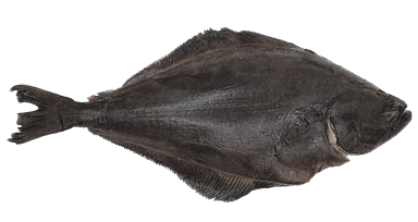 Atlantinis paltusas, skrostas, su galva, kg