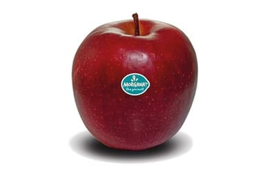 Apples MORGANA, 75-80, I class, kg
