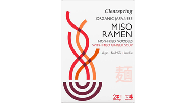 Japanese noodle soup MISO RAMEN with ginger broth, organic