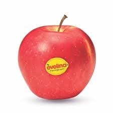 Apples EVELINA, category I, kg