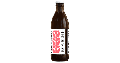Kombucha drink CHERRY, organic
