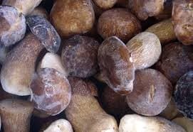 Frozen IQF boletus edulis, 1 kg