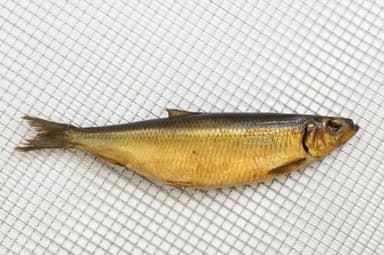 Cold smoked herring, head on, 300-500 g, kg