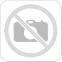 Kokteilis BACARDI BREEZER LIME, 4%, 0,275 l, butelis, D