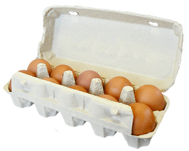 Brown shell eggs, size L, 10 pcs.