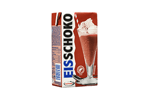 HOCHWALD EISSCHOKO Chocolate Drink 500 ml