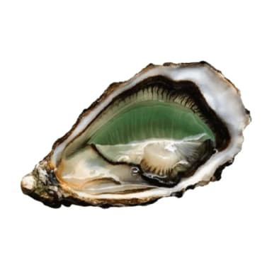 Austrė FINE DE CLAIRE LABEL ROUGE Nr.3