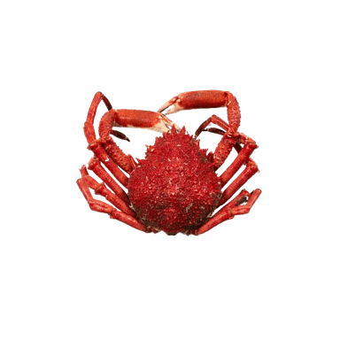 Frozen, boiled, spider crab, 600-800 g