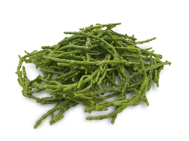 Samphire / Salicorne, 1 kg