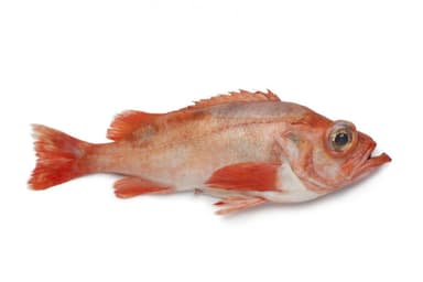 Great redfish, uncut, 700g-1,5 kg, ~ 3 kg