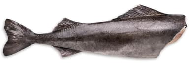 Frozen black cod, headless, gutted, 0% glaze, 1,8 - 2,3 kg, ~2 kg / 22lg
