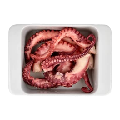 Octopus tentacles