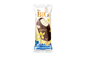 Vanilla ice cream with glaze. MR.BIG 90g
