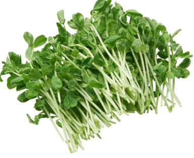 Pea greens, 100 g