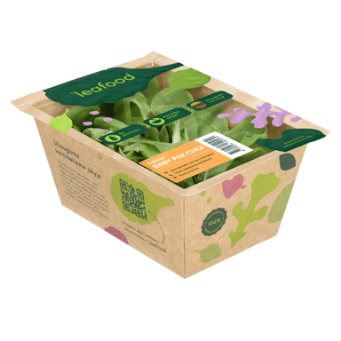 Kryžmažiedės BABY PAK CHOI