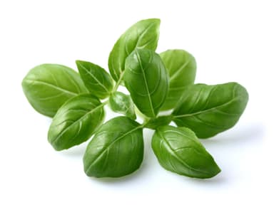 Basil, prepackaged, 15 g