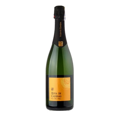 Sparkling wine  HOYA DE CADENAS Cava Brut Nature Blanco, 11,5, 0,75 l