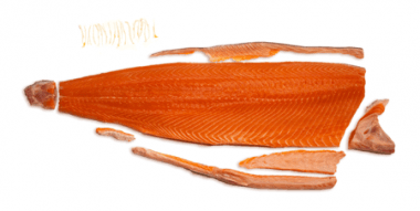 Salmon fillets, skin on, fresh, vacuum, 1kg