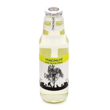 Birch juice MAGNUM, with lemon, 750 ml, D