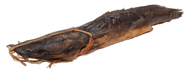 FS Karštai rūkytas afrikinis šamas, skrostas, su galva, 0,6-1,5 kg, kg