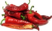Hot pepper JALAPENO, red, kg