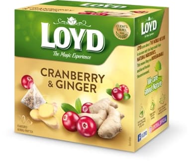 Fruit tea LOYD, cranberry and ginger flavor, 20 x 2g