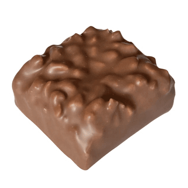 Pieniško šokolado saldainiai su riešutais ROCHERS